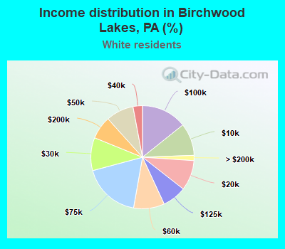 Income distribution in Birchwood Lakes, PA (%)
