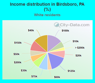 Income distribution in Birdsboro, PA (%)