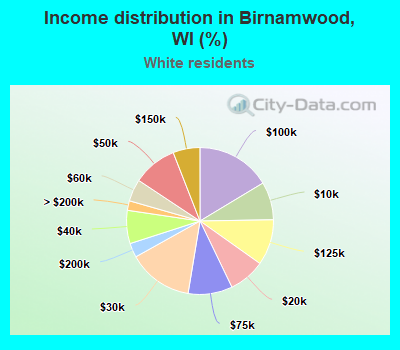 Income distribution in Birnamwood, WI (%)