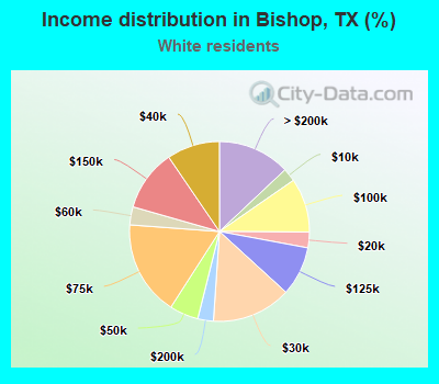 Income distribution in Bishop, TX (%)