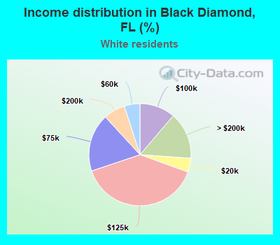 Income distribution in Black Diamond, FL (%)