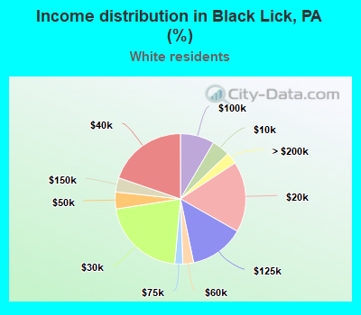 Income distribution in Black Lick, PA (%)