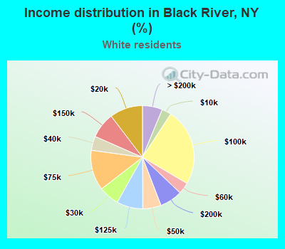 Income distribution in Black River, NY (%)