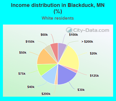 Income distribution in Blackduck, MN (%)