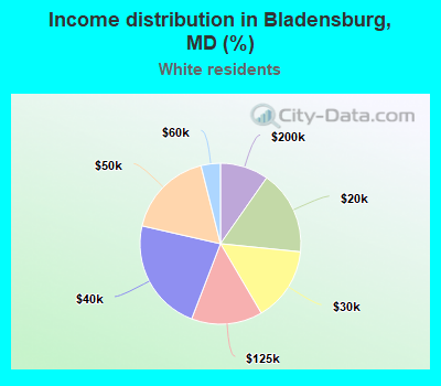 Income distribution in Bladensburg, MD (%)