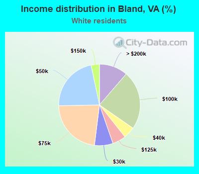 Income distribution in Bland, VA (%)