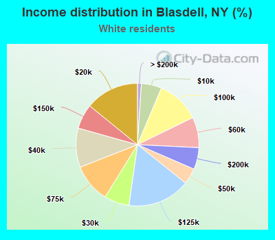 Income distribution in Blasdell, NY (%)