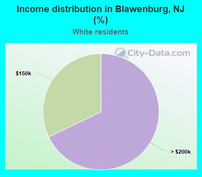 Income distribution in Blawenburg, NJ (%)