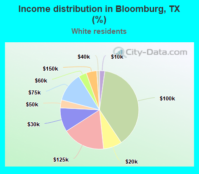 Income distribution in Bloomburg, TX (%)