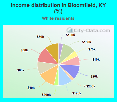 Income distribution in Bloomfield, KY (%)