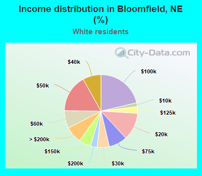 Income distribution in Bloomfield, NE (%)