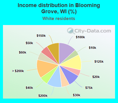 Income distribution in Blooming Grove, WI (%)