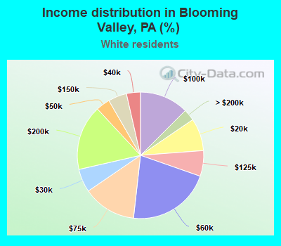 Income distribution in Blooming Valley, PA (%)