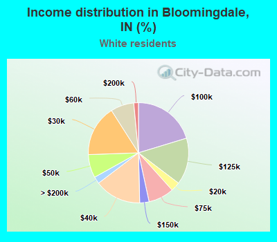 Income distribution in Bloomingdale, IN (%)