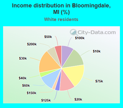 Income distribution in Bloomingdale, MI (%)