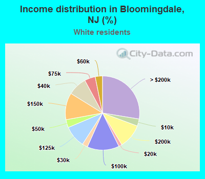 Income distribution in Bloomingdale, NJ (%)