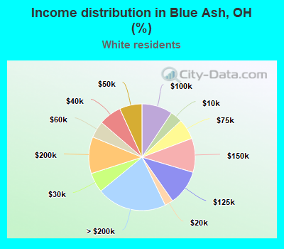 Income distribution in Blue Ash, OH (%)