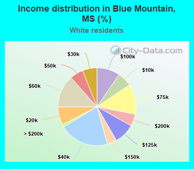 Income distribution in Blue Mountain, MS (%)