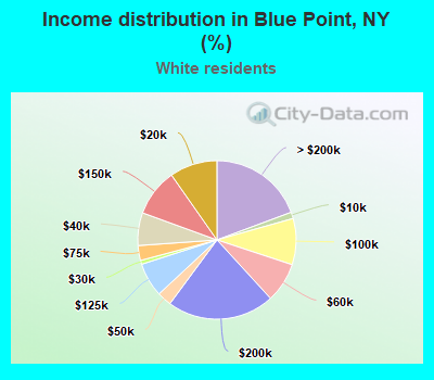 Income distribution in Blue Point, NY (%)