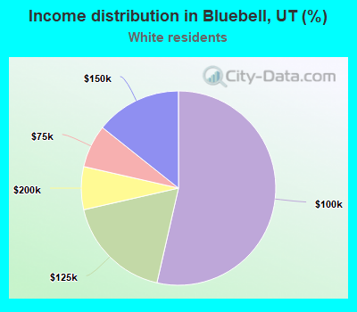 Income distribution in Bluebell, UT (%)