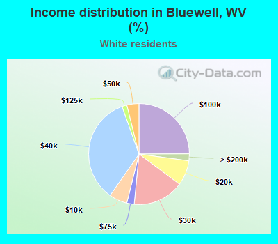 Income distribution in Bluewell, WV (%)