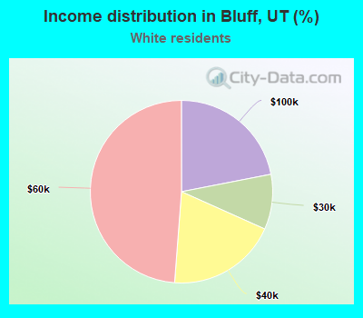 Income distribution in Bluff, UT (%)