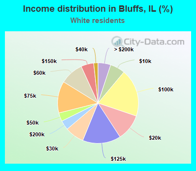 Income distribution in Bluffs, IL (%)