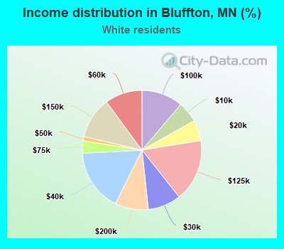 Income distribution in Bluffton, MN (%)