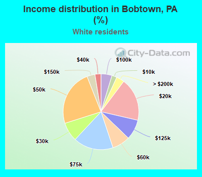 Income distribution in Bobtown, PA (%)