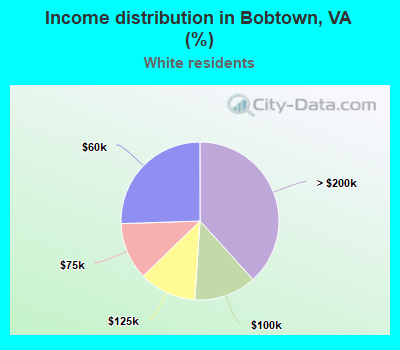 Income distribution in Bobtown, VA (%)