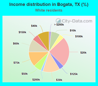 Income distribution in Bogata, TX (%)