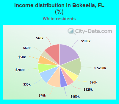 Income distribution in Bokeelia, FL (%)