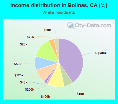 Income distribution in Bolinas, CA (%)