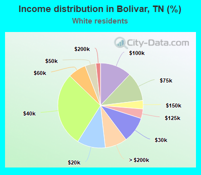 Income distribution in Bolivar, TN (%)