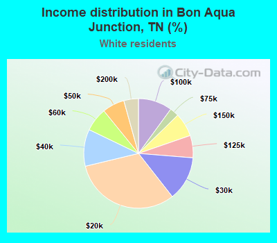Income distribution in Bon Aqua Junction, TN (%)