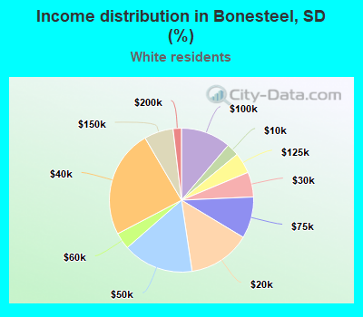 Income distribution in Bonesteel, SD (%)