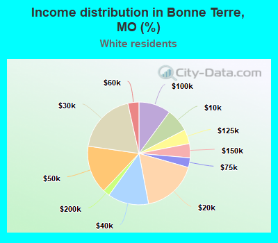 Income distribution in Bonne Terre, MO (%)