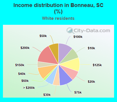 Income distribution in Bonneau, SC (%)