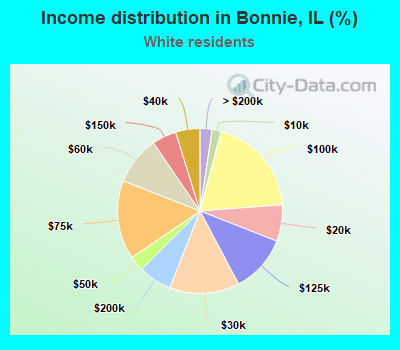 Income distribution in Bonnie, IL (%)