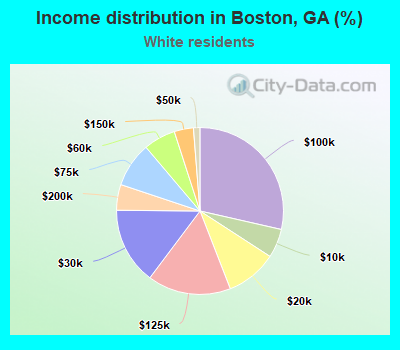 Income distribution in Boston, GA (%)