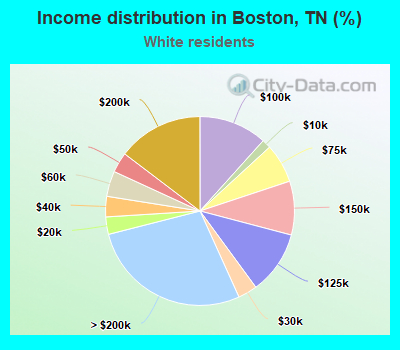 Income distribution in Boston, TN (%)