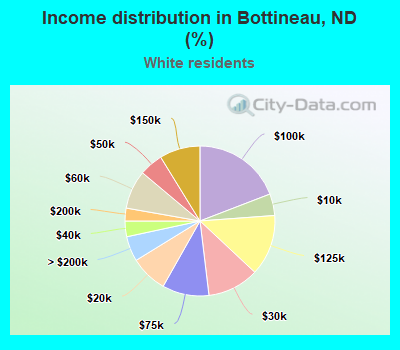 Income distribution in Bottineau, ND (%)