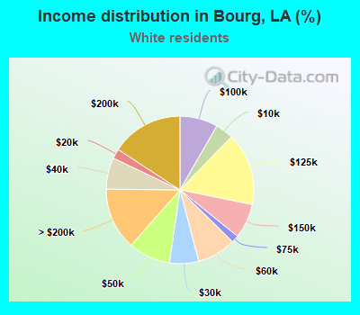 Income distribution in Bourg, LA (%)