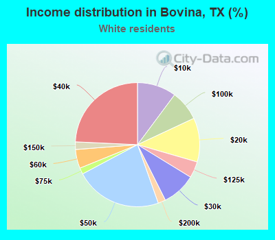Income distribution in Bovina, TX (%)