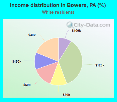 Income distribution in Bowers, PA (%)