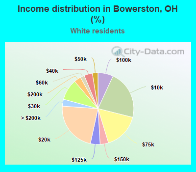 Income distribution in Bowerston, OH (%)