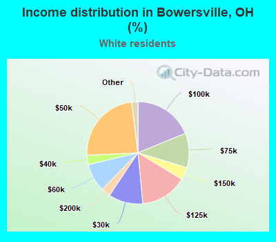 Income distribution in Bowersville, OH (%)