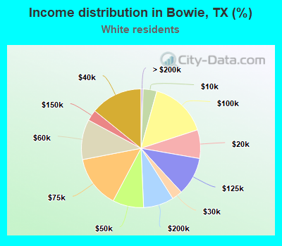 Income distribution in Bowie, TX (%)