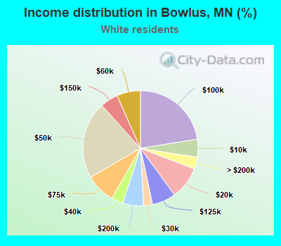 Income distribution in Bowlus, MN (%)