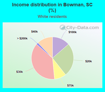 Income distribution in Bowman, SC (%)